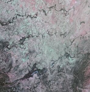 ALL PAINTINGS MUST GO... BLOW OUT SALE ALL PAINTINGS BY ALISHA LECAVALIER